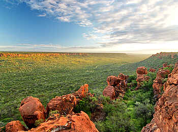 Waterberg Plateau Lodge: Buschsavanne Waterberg Plateau Lodge: Buschsavanne