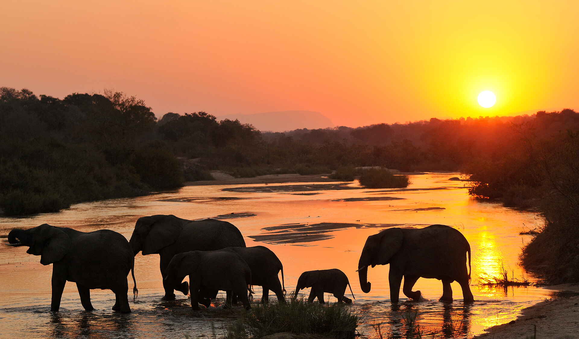 Inyati Game Lodge, Krüger Nationalpark, Luxussafari, Sabi Sands, SAfari Lodge, Südafrika, Tiere und Aktivitäten, Afrikarma, Afrikarma Safaris, Afrikarma Safaris - Wildnis. Hautnah., afrikarma.de