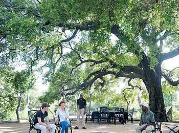 King's Camp: Die Feuerstelle King's Camp: Die Feuerstelle