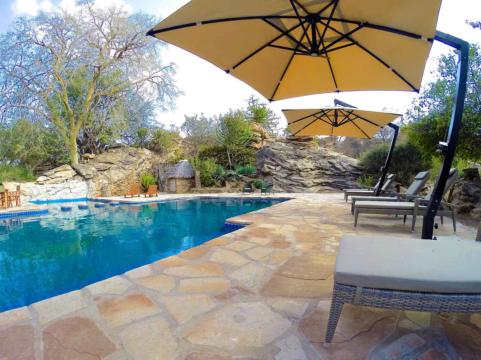 Tuli Safari Lodge Mashatu: Swimmingpool Tuli Safari Lodge Mashatu: Swimmingpool