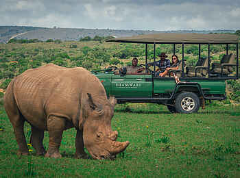 Bayethe Lodge: Auf Pirschfahrt Bayethe Lodge: Auf Pirschfahrt