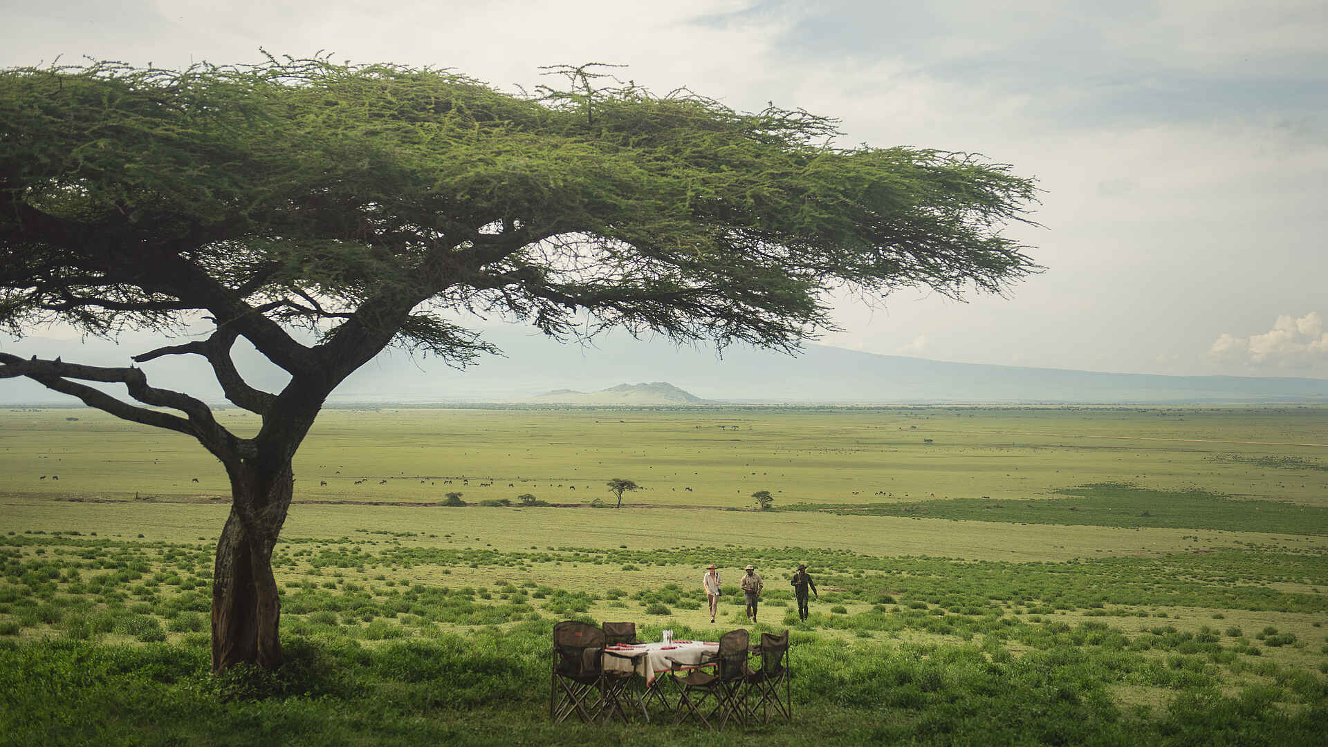 Charlie Sanjan Safari Camp: Buschfrühstück unter Akazienbaum