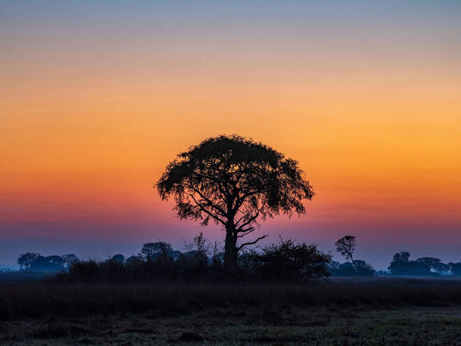 Chisa Busanga Camp: Farbenfroher Sonnenuntergang
