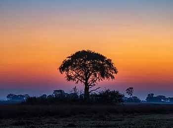 Chisa Busanga Camp: Farbenfroher Sonnenuntergang Chisa Busanga Camp: Farbenfroher Sonnenuntergang