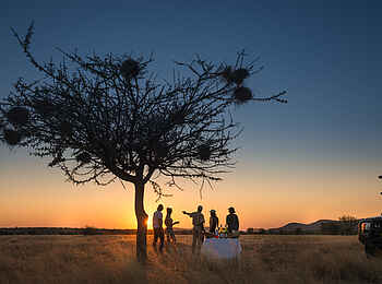 Encounter by Ongava: Sundowner auf Pirschfahrt
