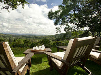 Gibbs Farm: Tea Time