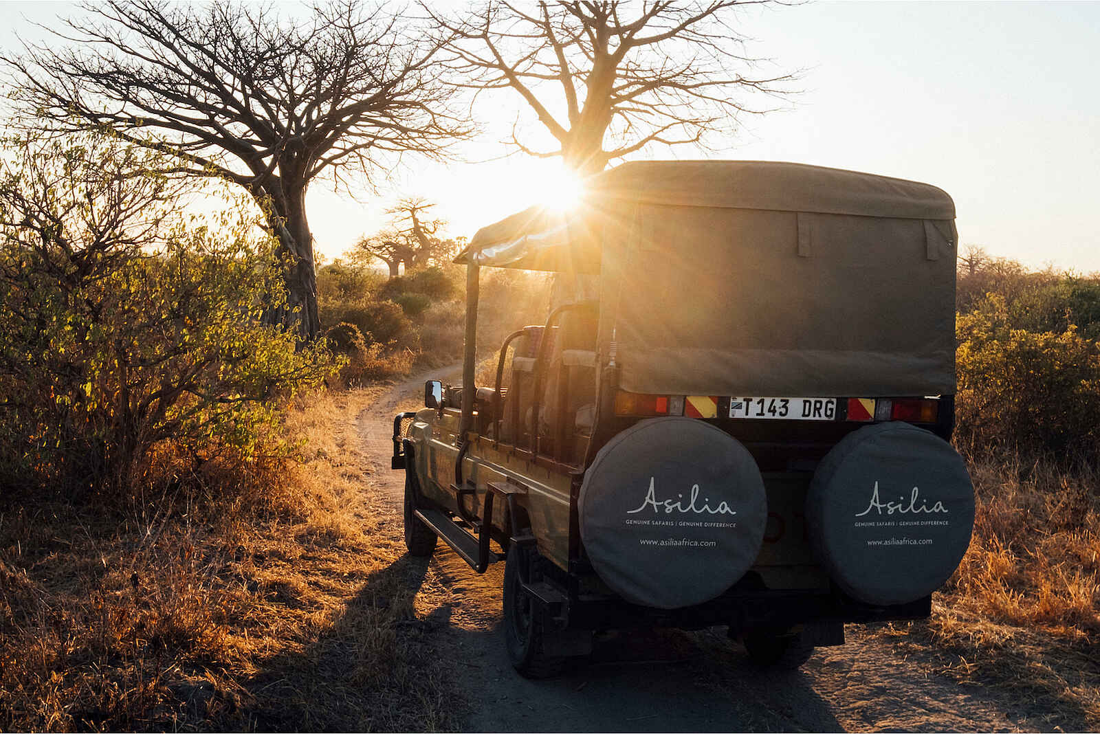 Kokoko Camp: Game Drive Kokoko Camp: Game Drive