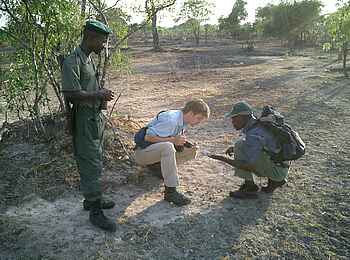 Mukambi Fig Tree Bush Camp: Ein Ranger begleitet eine Walking Safari