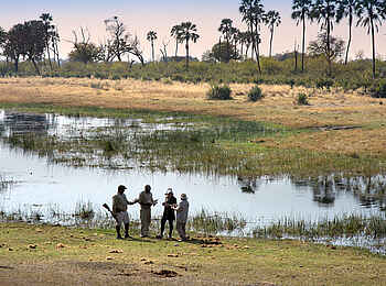 Sandibe under Canvas Camp: Walking Safari