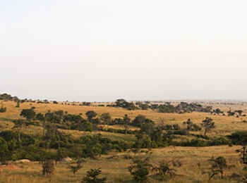 Serengeti Safari Camp: Panorama