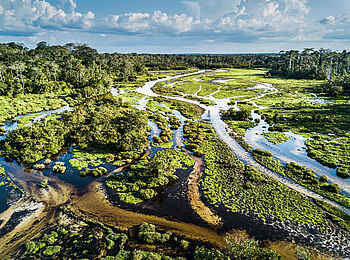 Lango Camp: Die Lango Bai Lango Camp: Die Lango Bai