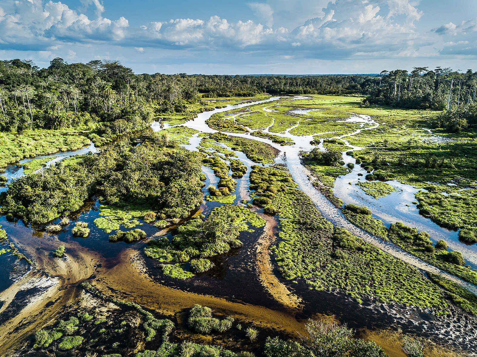 Lango Camp: Die Lango Bai Lango Camp: Die Lango Bai