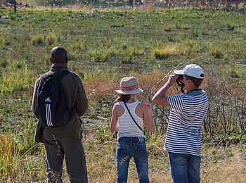 Belmond Eagle Island Lodge: Zu Fuß im Busch Belmond Eagle Island Lodge: Zu Fuß im Busch