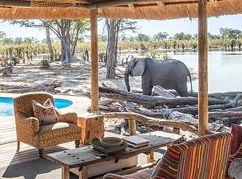 Elephant Pan Camp: Auf der Terrasse