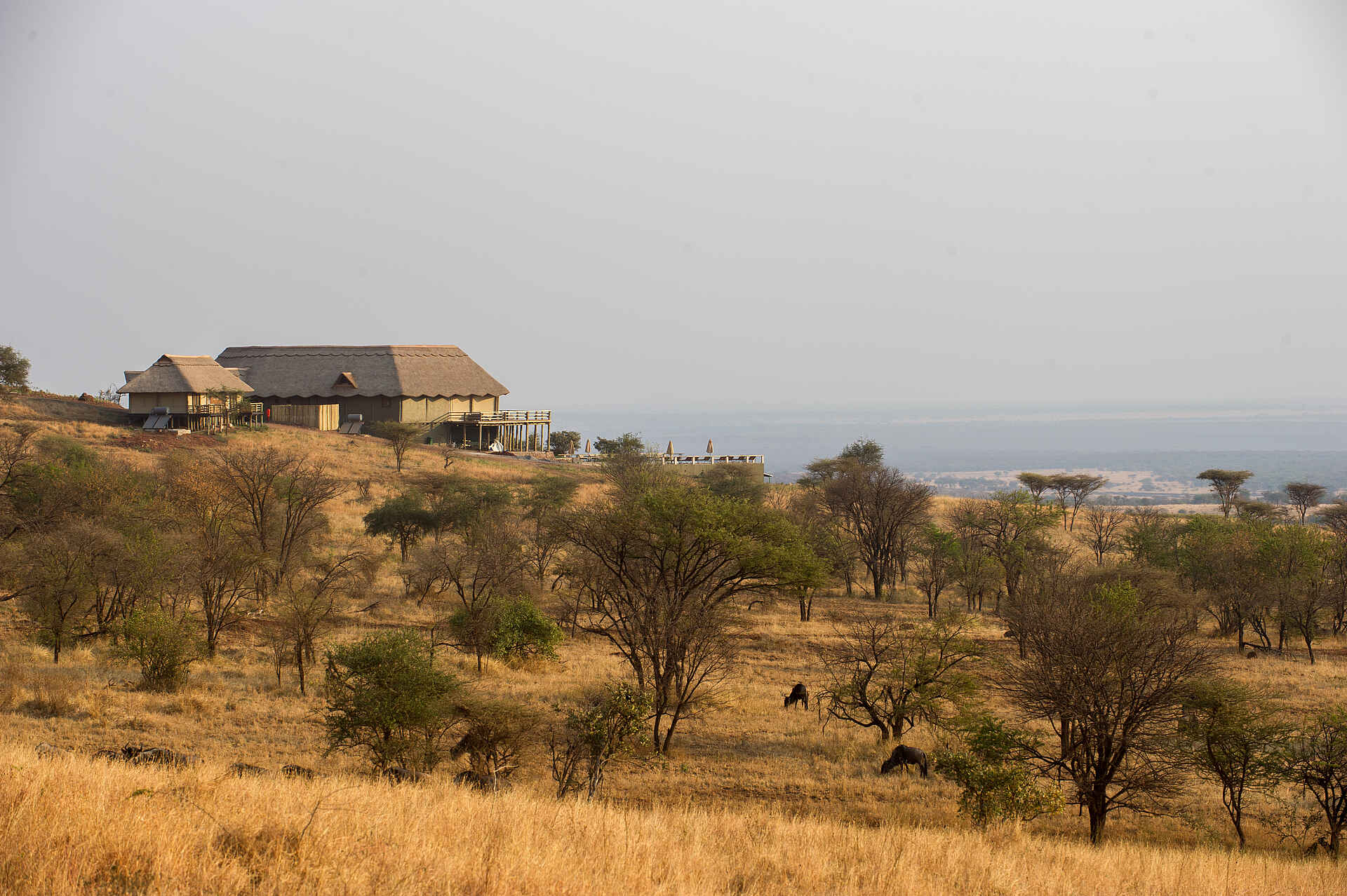 Kubu Kubu Tented Camp: Umgebung des Haupthauses