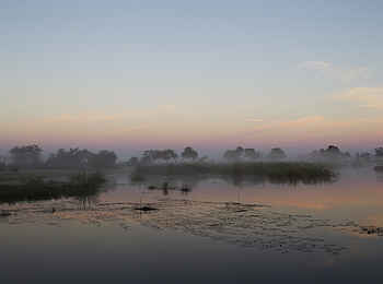 Lagoon Camp: Bevorstehender Sonnenaufgang Lagoon Camp: Bevorstehender Sonnenaufgang