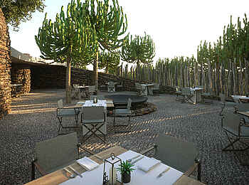 Mashatu Euphorbia Villas: Euphorbien und Feuerschale