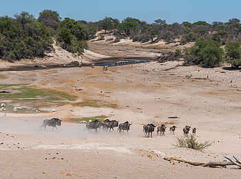 Meno a Kwena Camp: Am Wasserloch