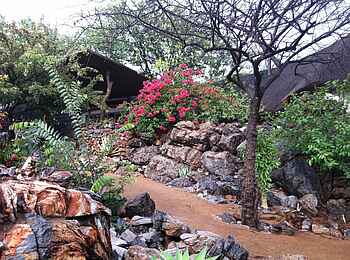 Okutala Lodge: Pflanzen Okutala Lodge: Pflanzen