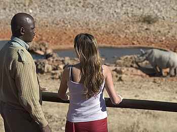 Ongava Lodge: Nashorn am Wasserloch Ongava Lodge: Nashorn am Wasserloch