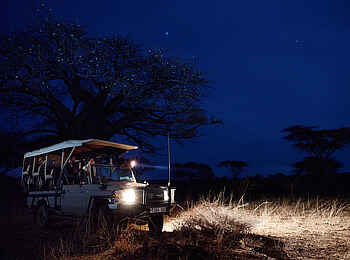 Sanctuary Swala: Pirschfahrt nachts