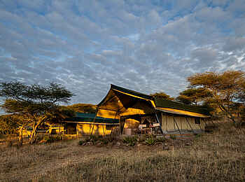 Serengeti Woodlands Camp: Zelte