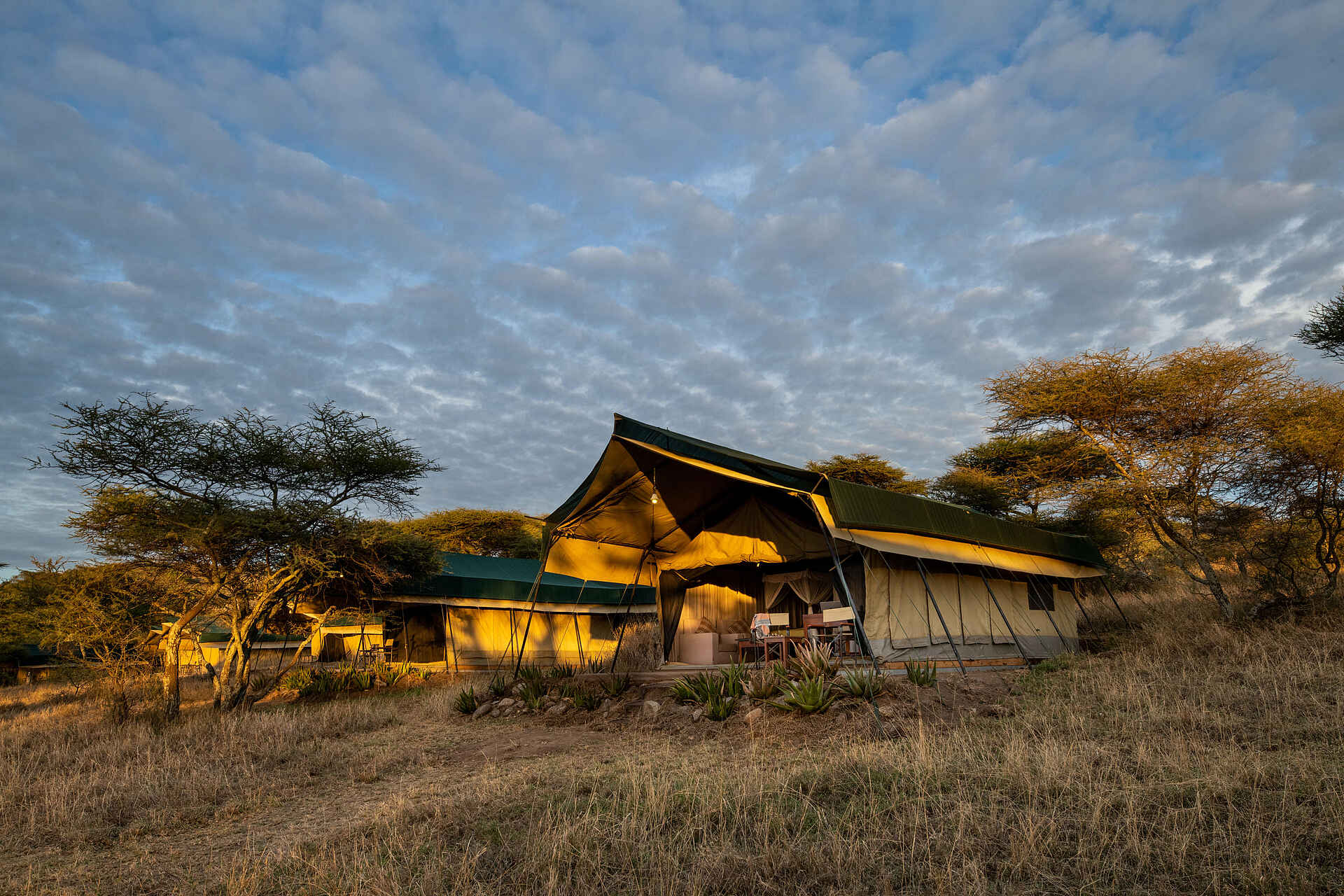 Serengeti Woodlands Camp: Zelte