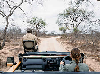 Simbambili Game Lodge: Game Drive