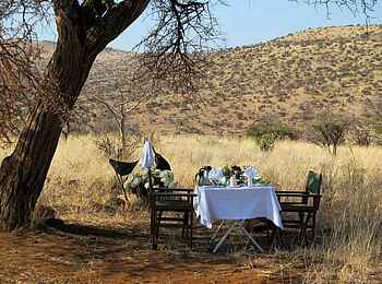 Sirikoi: Frühstück im Busch