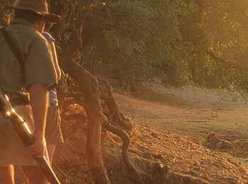 Vundu Camp: Löwen an einer Lagune Vundu Camp: Löwen an einer Lagune