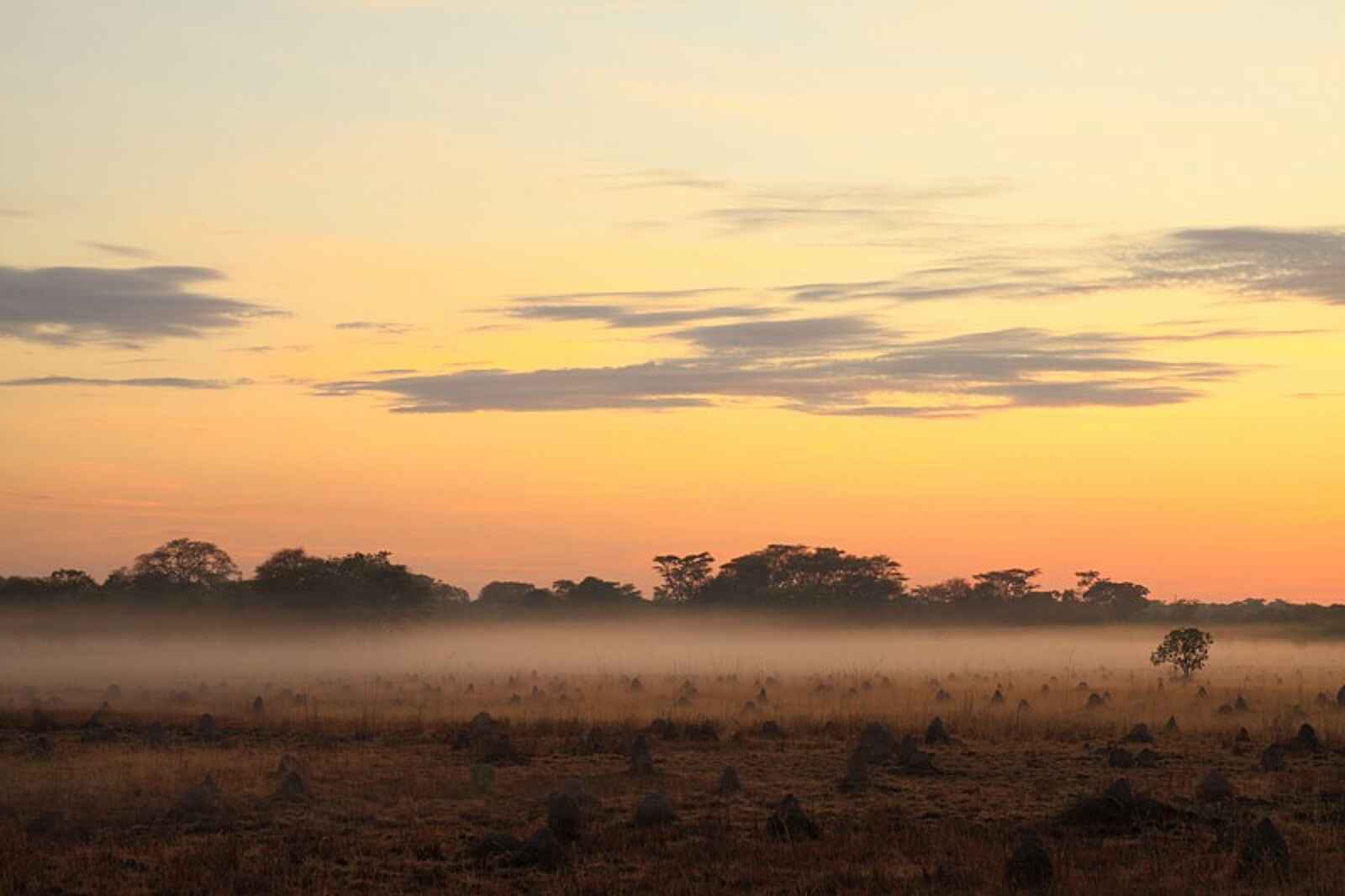 Wasa Lodge: Morgennebel Wasa Lodge: Morgennebel