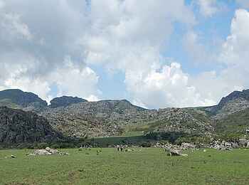 Frog and Fern Cottages: Plateau Frog and Fern Cottages: Plateau