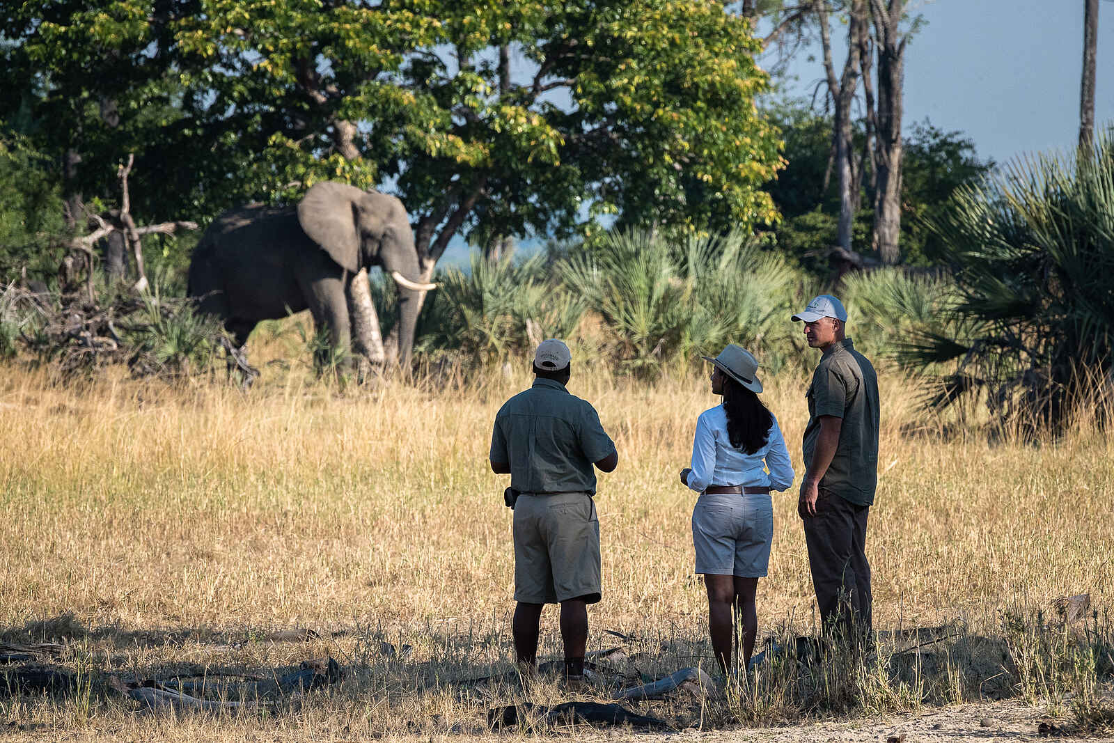 Kuthengo Camp: Walking Safari Kuthengo Camp: Walking Safari