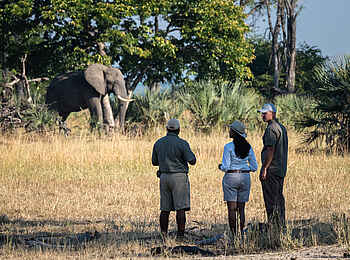 Kuthengo Camp: Walking Safari Kuthengo Camp: Walking Safari