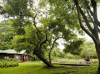 Mt. Meru Game Lodge: Hauptgebäude und Garten