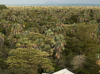 Chem Chem Lodge: Gästesuite von oben Chem Chem Lodge: Gästesuite von oben