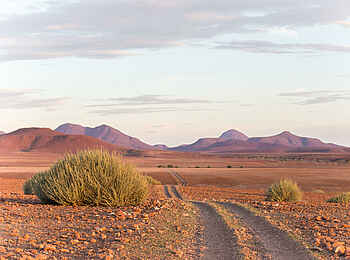Desert Rhino Camp: Beeindruckende Landschaft