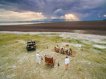 Forest Chem Chem: Picknick bei einer Pirschfahrt Forest Chem Chem: Picknick bei einer Pirschfahrt