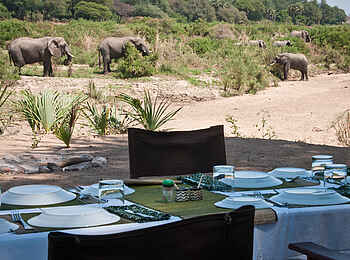 Kichaka Expeditions: Gedeckte Tafel mit Elefanten im Hintergrund