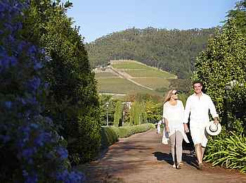 La Cle des Montagnes: Spaziergang durch Weinfelder und Obstplantagen La Cle des Montagnes: Spaziergang durch Weinfelder und Obstplantagen