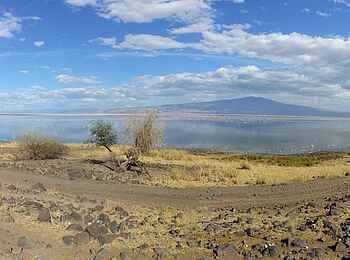 Lake Natron Camp: Lake Natron
