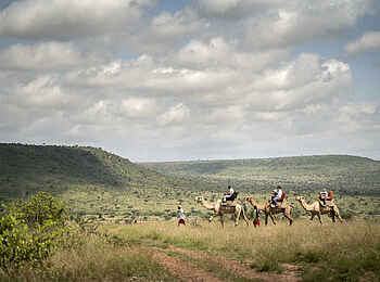 Loisaba Lodo Springs: Kamelreiten