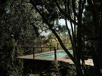 Mara Plains Jahazi Suite: Erfrischung gibt's im Pool