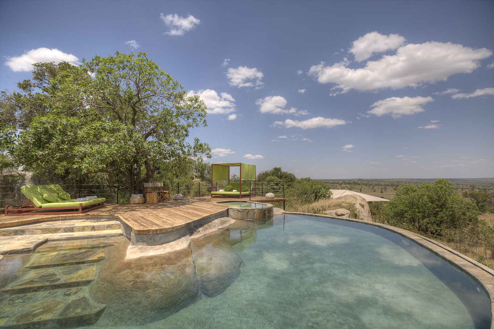 Serengeti Bushtops: Infinity Pool Serengeti Bushtops: Infinity Pool