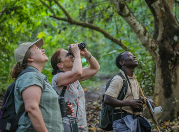 Volcanoes Kibale Lodge: Auf Vogelbeobachtung
