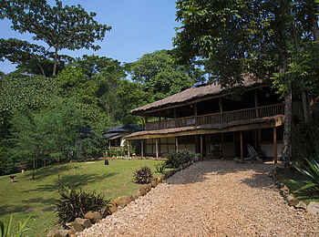 Buhoma Lodge: Zugang zum Hauptgebäude