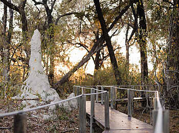 Chitabe Lediba Camp: Family Tent Wege