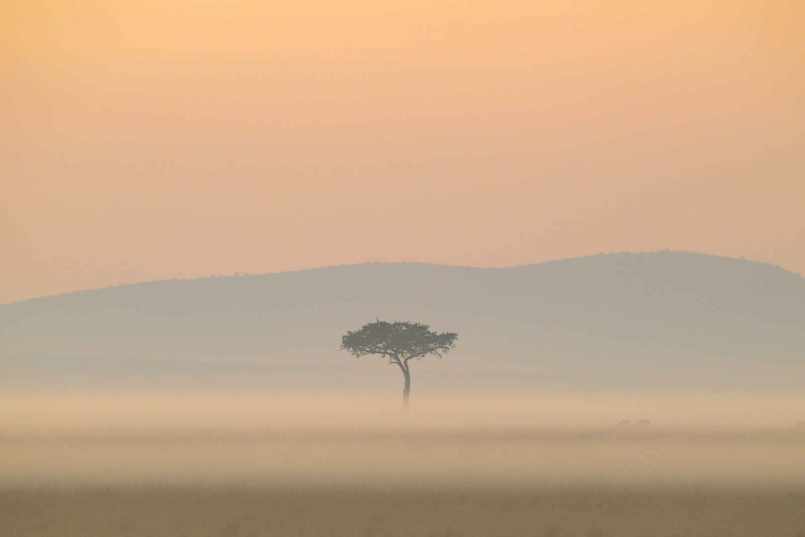 Entim Private Wing Camp: Weite Entim Private Wing Camp: Weite