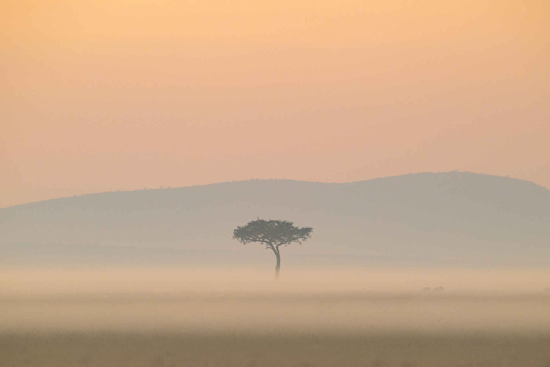 Entim Private Wing Camp: Weite