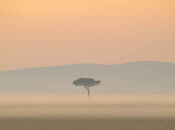 Entim Private Wing Camp: Weite Entim Private Wing Camp: Weite